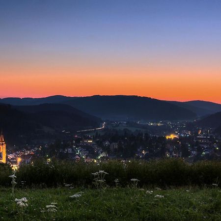 Drei Tannen - Wohnung 12 - Apartmenthaus, Titisee, Nahe Badeparadies Bagian luar foto