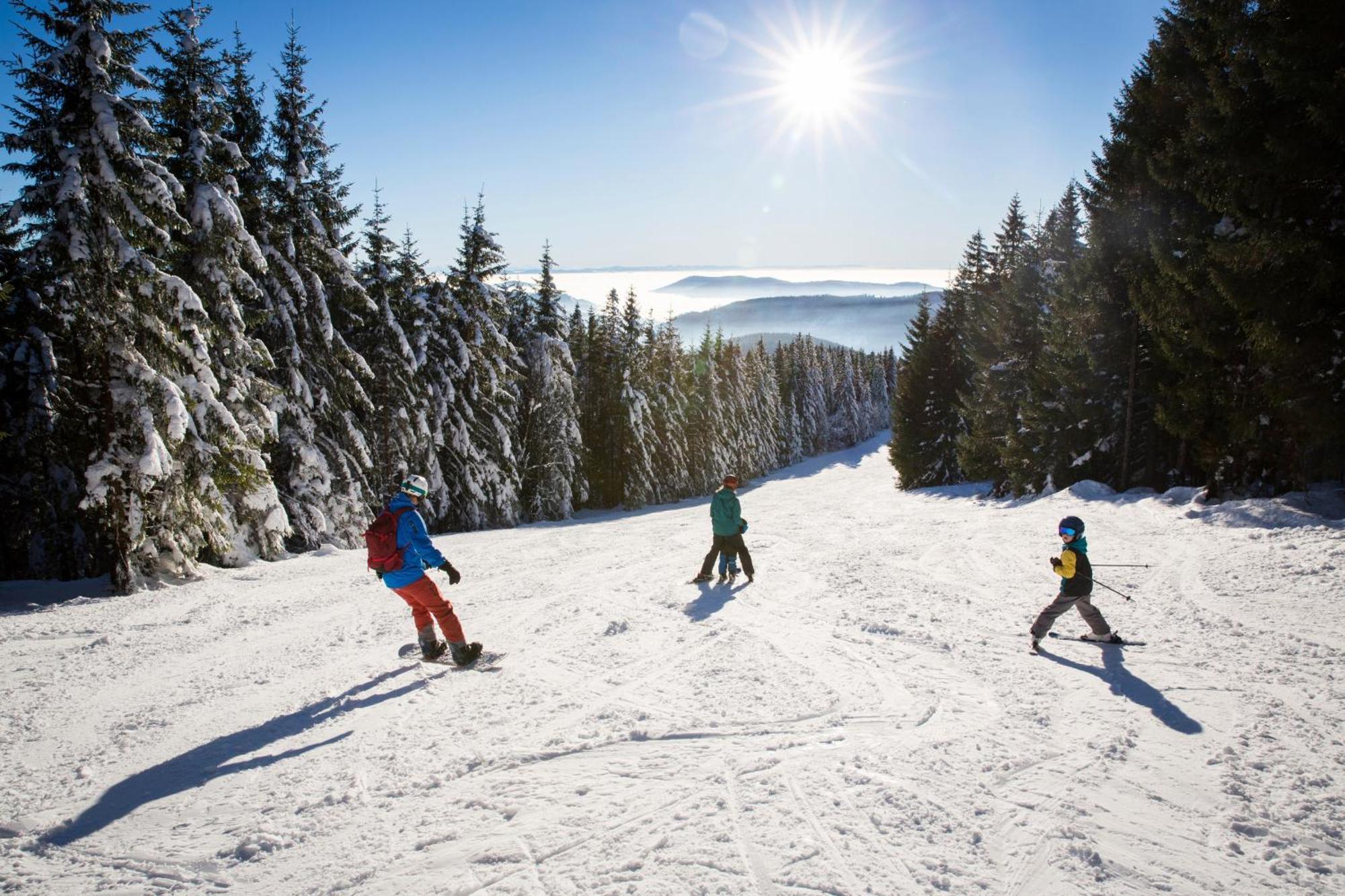 Drei Tannen - Wohnung 12 - Apartmenthaus, Titisee, Nahe Badeparadies Bagian luar foto